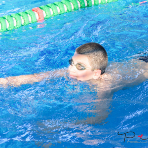 DSC_9292 DSC_9292